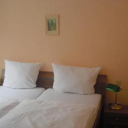 法伦沃尔夫酒店 酒店 特里尔