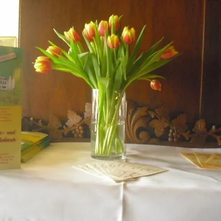 Hotel Feilen-wolff Tréveris